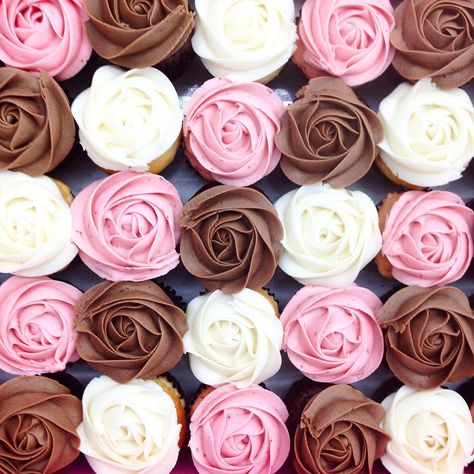 kelsey elizabeth cakes - Beautiful Neapolitan Rose Cupcakes! #kelseyelizabethcakes Brown Cupcakes, Neapolitan Cupcakes, Sweet 16 Cupcakes, Elizabeth Smith, Rose Cupcakes, Wedding Cake Rustic, Sweet Pastries, Dessert Decoration, Holiday Cakes