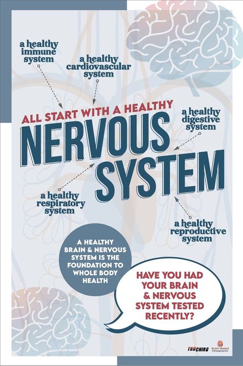 Poster designed for chiropractor offices explaining the connection of each of the bodies systems with how it affects your brain and nervous sytem and why people should be checked. #chiropractor #nervoussytem #brain #healthy #health #posterdesign #brendaleschdesign Nervous System Poster, Brain Nervous System, Human Nervous System, System Wallpaper, Graphic Design Magazine, Posters Ideas, Systems Design, Cover Page Template, Limbic System