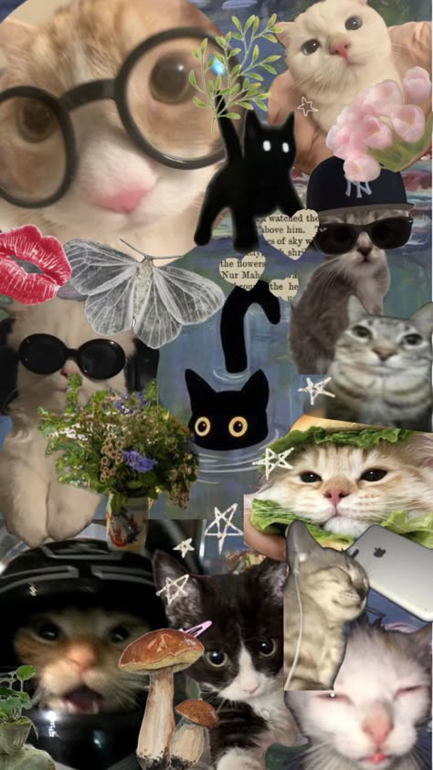 Studio Ghibli Background, Wall Collage Decor, Y2k Wallpaper, Collage Background, Phone Wallpaper Patterns, Cute Patterns Wallpaper, Kawaii Wallpaper, Cat Wallpaper, Aesthetic Collage