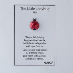 The Little Ladybug Pin Ladybug Gift Ideas, Ladybug Meaning, Ladybug Quotes, Ladybug Jewelry, Marinette Ladybug, Colored Trim, Ladybug Crafts, Lady Beetle, Ladybug Art