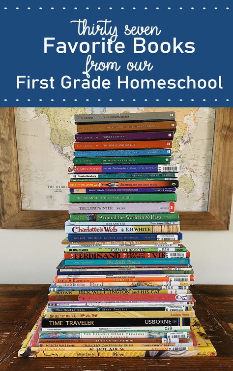 The books that shaped our first grade #homeschool  #childrensbooks Wholesome Books, First Grade Homeschool, Read Aloud Chapter Books, Living Books List, 1st Grade Books, First Grade Books, Study Activities, Homeschool Lessons, Book Wishlist