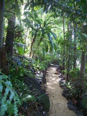 Meryl's Garden Fruit Forest, Tropical Backyard Landscaping, Tropical Garden Ideas, Pathway Landscaping, Jungle Gardens, Tropical Garden Design, Tropical Backyard, Tropical Landscape, River Landscape