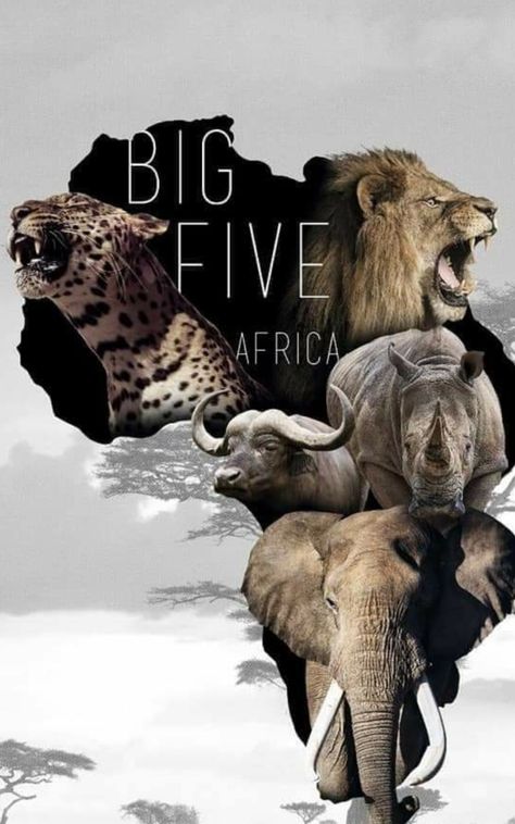 Big 5 Tattoo, Cat Tshirt Design, Big Five Animals, 5 Tattoo, Usa Flag Wallpaper, Rhino Art, Africa Art Design, The Big Five, Dragon Fish