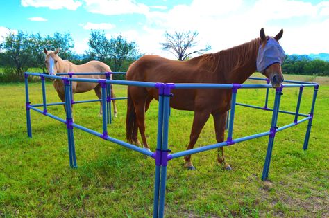 Portable Horse Corrals featuring portable panels that are Spacious, Lightweight and Durable. Affordable and Easy to Use Portable Horse Stalls and Round Pens. Great for Camping, Rodeos, Travel, Trail Riding, Natural Horsemanship and Grazing. Diy Portable Horse Panels, Diy Horse Fencing, Horse Trailer Organization, Horse Hacks, Horse Obstacles, Horse Camping, Horse Pens, Saddle Stand, Electric Fencing