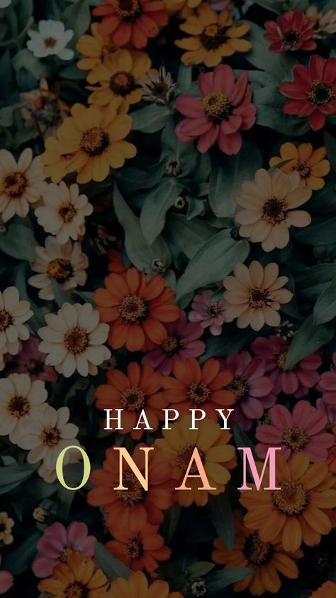 Onam Videos Status, Onam Status Image, Happy Onam Video Status, Onam Quotes For Instagram, Onam Status, Onam 2023, Onam Quotes, Onam Songs, Onam Pictures