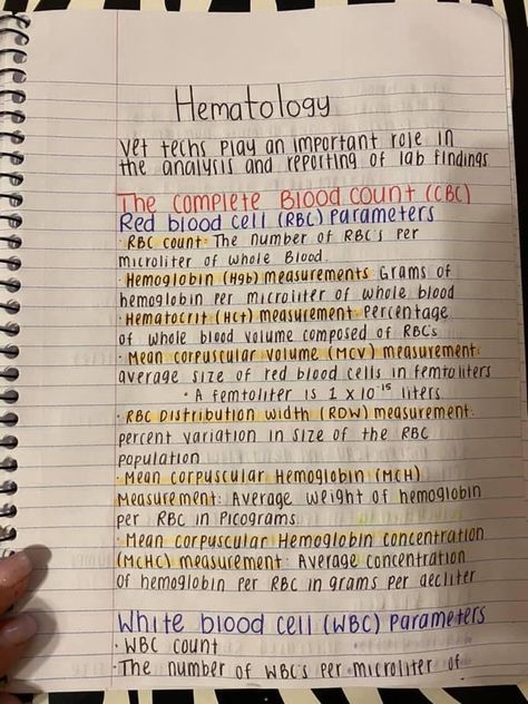 Livestock Veterinarian Notes, Vet Tech Cheat Sheet, Veterinarian Notes, Vet Tech Notes, Veterinary Notes, Animal Diagram, Veterinary Radiology, Vet School Motivation, Vet Nursing