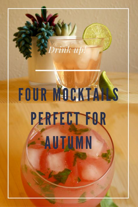 Alcohol Free Cocktails, Mocktail Drinks, Virgin Drinks, Lime Rickey, Recipes For Fall, Alcohol Free Drinks, Mocktail Recipes, Thanksgiving Drinks, Drink Recipes Nonalcoholic