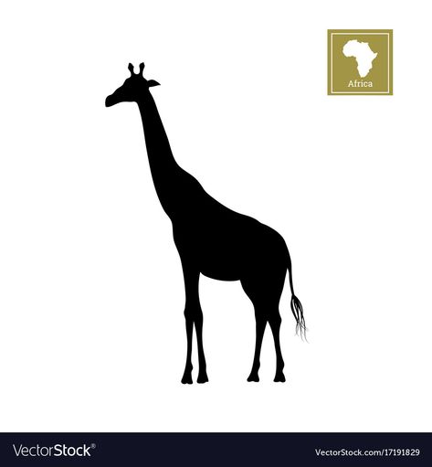 Animals Vector Illustration, A Giraffe, Black Silhouette, African Animals, Adobe Illustrator, Moose Art, White Background, Vector Images, Vector Free