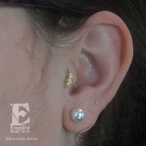 Tragus piercing with a yellow gold feather, done by me at Empire Body Arts, jewelry by Body Vision Los Angeles Body Vision Los Angeles, Tragus Piercing Jewelry, Tragus Piercing, Gold Feathers, Tragus Piercings, Tragus, Piercing Jewelry, Body Art, Piercings