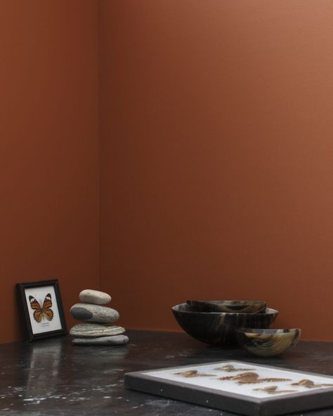 Audobon Russet Benjamin Moore, Terra Mauve Benjamin Moore, Benjamin Moore Rust Paint Colors, Little Apartment Ideas, Terra Cotta Paint Color, Burnt Orange Paint, Rust Color Paint, Rust Curtains, Benjamin Moore Bathroom