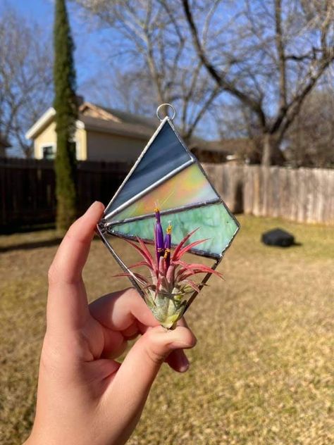 Glass Air Plant Holder, Air Plant Art, Stained Glass Repair, Stained Glass Mosaic Art, Creative Planter, Stained Glass Door, Glass Mosaic Art, Stained Glass Decor, Stained Glass Ornaments