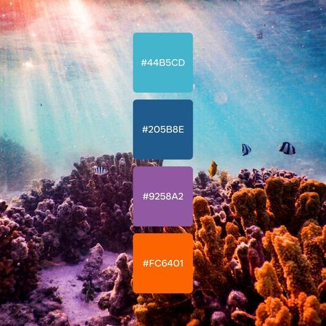 Canva on Instagram: "In celebration of #WorldWildlifeDay, we’ve created color palettes inspired by some of the world’s wild animals and plants 🏞️ Let us know which one is your favorite!" Sea Palette, Room Clothes, Wildlife Day, Create Color Palette, Orange Color Palettes, Purple Color Palettes, Animals And Plants, Blue Colour Palette, Sea Blue