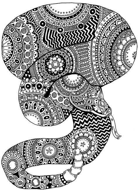 Snake. Zentangle. Pen and Ink on Illustration Board. Janelle Dimmett 2016. www.janelledimmett.com. Snake Zentangle, Teen Projects, Snake Coloring Pages, Zentangle Animals, Disney Paintings, Illustration Board, Fantasy Drawings, Tangle Patterns, Color Images