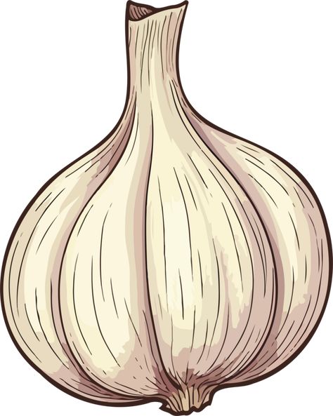 AI generated garlic clipart design illustration Garlic Drawing, Garlic Illustration, Clipart Design, Free Png, Design Illustration, Cute Drawings, Illustration Design, Garlic, Royalty