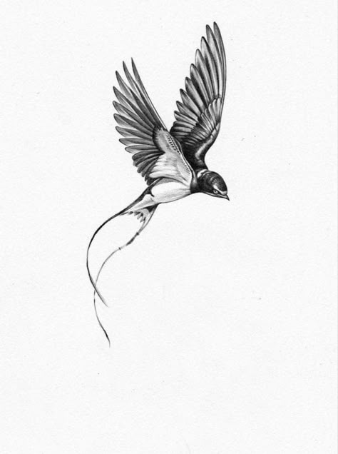 Barn Swallow Tattoo, Golondrinas Tattoo, Swallow Hand Tattoo, Thigh Sleeve Tattoo, Tattoo Astronaut, Two Birds Tattoo, Flower Neck Tattoo, Simple Leg Tattoos, Sparrow Tattoo Design