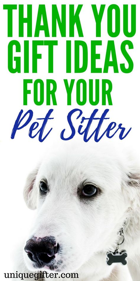 Thank you gift ideas for your pet sitter | What to get a dog sitter as a thank-you | Ways to thank a cat sitter | Creative Christmas presents for a dog walker Christmas Gifts For Dog Daycare, Creative Christmas Presents, Diy Dog Gifts, Dog Sitter Gift, Pet Sitter Gifts, Caregiver Gifts, Daycare Gifts, Best Friend Gift Ideas, Friend Gift Ideas