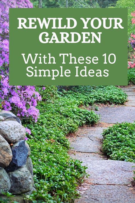 Check out these 10 brilliant ideas to rewild your garden, help your ecosystem, and go back to the roots with as little work as possible. Home Garden Ideas, Backyard Garden Diy, Backyard Layout, Small Front Yard Landscaping, Vegetable Garden For Beginners, Meadow Garden, Growing Gardens, Garden Help, Wildlife Gardening