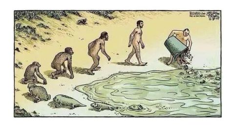 Top pictures with deep meaning without words — Steemit Evolution Cartoon, Evolution Art, Satirical Illustrations, Theory Of Evolution, Human Evolution, Charles Darwin, Human Race, Save Earth, Funny Cartoons