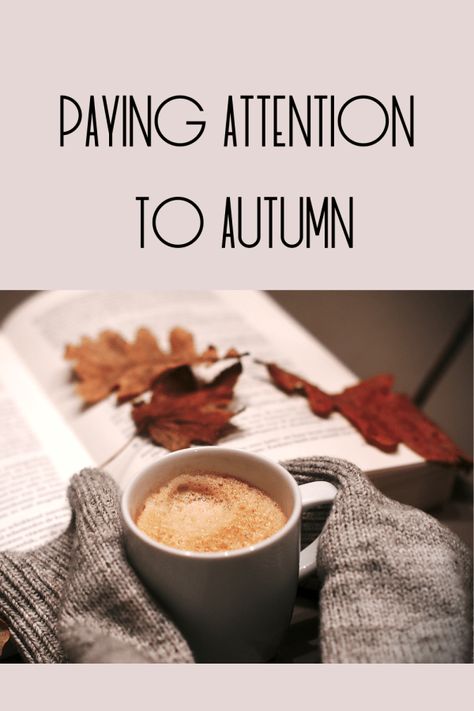 🍂 Paying attention to fall and embracing a season of surrender... surrender, fall, autumn, faith Fall Devotionals For Women, Fall Vision Board, Simple Cat Makeup, Vampire Makeup Looks, Christian Women's Ministry, Laura Thomas, Winter Getaways, Business Mom, Grace Christian