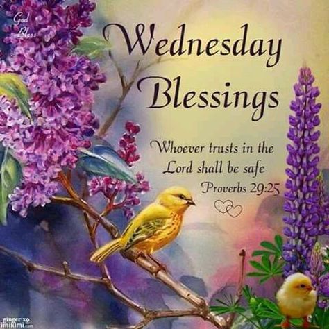 Wednesday blessing to my sister and all.take care !!! God bless. Wednesday Blessings Gif, Wednesday Gif, Blessings Gif, Proverbs 29 25, Quotes Wednesday, Wednesday Morning Greetings, Blessed Monday, Wednesday Hump Day, Wednesday Morning Quotes