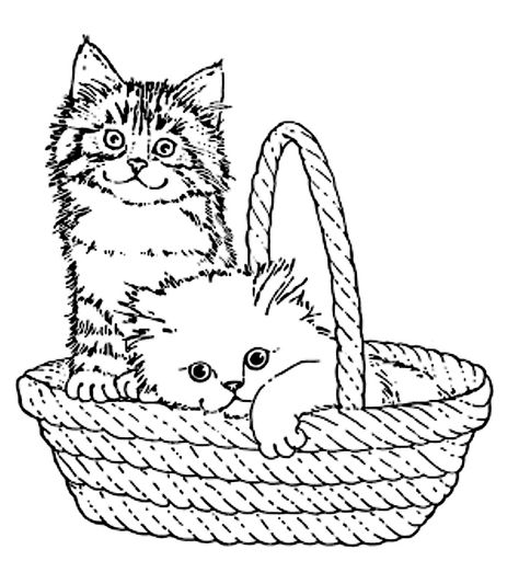 kittens in Basket Cat In Basket, Basket Drawing, Pyrography Patterns, Free Adult Coloring Pages, Cat Coloring Page, Digi Stamps, Cat Colors, Pyrography, Adult Coloring Books