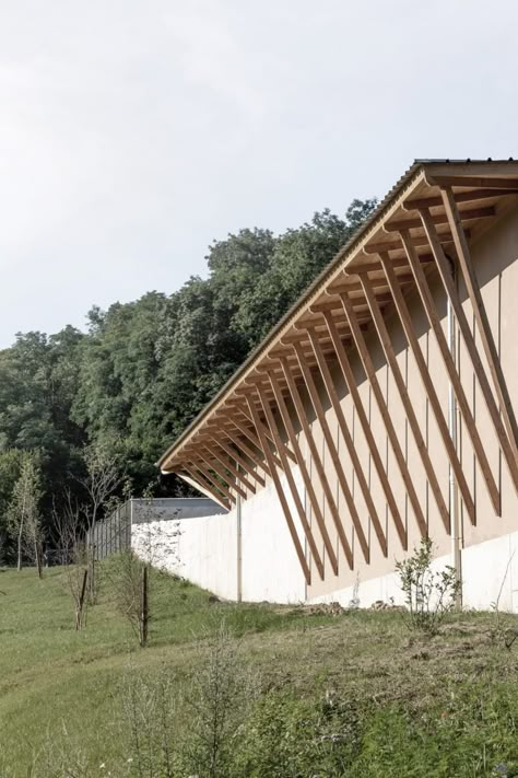 brenas doucerain architectes, Andrea Bosio · MUNICIPAL TECHNICAL CENTER · Divisare Sloped Roof Architecture, Mass Timber Architecture, Wood Roof Structure, Timber Architecture, Timber Roof, Architect Drawing, A Level Art Sketchbook, Master Thesis, Wood Roof