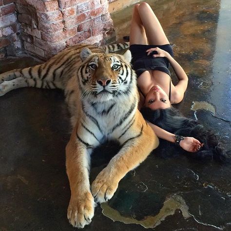 Cat Woman Aesthetic, Female Tiger, Pilot Episode, Pet Tiger, Leopards, Catwoman, Aesthetic Photo, Big Cats, Spirit Animal