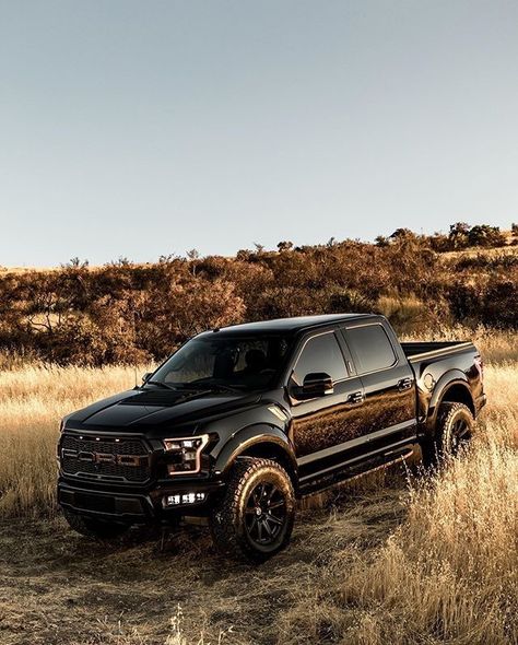 F150 Raptor, Ford Trucks F150, Ford F150 Raptor, Ford Ranger Raptor, Ford Mustang Shelby Gt500, Ford F Series, Best Classic Cars, Ford Pickup Trucks, Ford Raptor