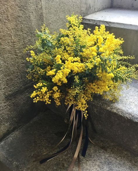 Rustic Italian Wedding, Classic Wedding Bouquet, Wedding Orange, Mimosa Flower, Yellow Bouquets, Australian Native Flowers, Flower Arrangements Simple, Cascade Bouquet, Bouquet Arrangements