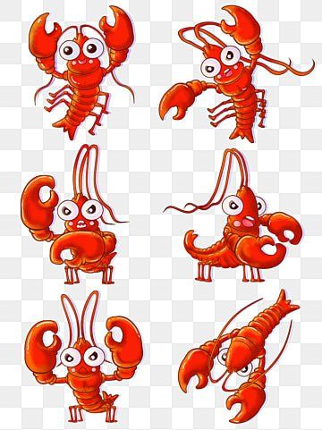 Cartoon Lobster Drawing, Lobster Character Design, Crayfish Drawing, Shrimp Clipart, Lobster Cartoon, Lobster Clipart, Shrimp Cartoon, Cartoon Lobster, Lobster Drawing