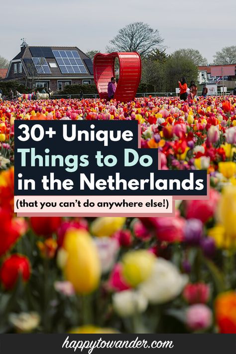 30+ Unique Things to Do in the Netherlands (That You Can’t Do Anywhere Else) Travel To The Netherlands, Netherlands Beautiful Places, Netherlands In April, Visit Netherlands, Fields Of Tulips, Netherlands Hidden Gems, Bread For Breakfast, Europe Trip Planning, Tulip Fields