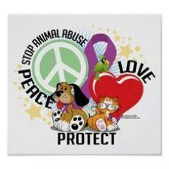 We Protect Animals Animal Protection Poster, Animal Shelter Fundraiser, Animal Rescue Fundraising, Animals Rights, Animal Rescue Stories, Art Appliqué, Stop Animal Cruelty, Animal Advocacy, Poster Drawing