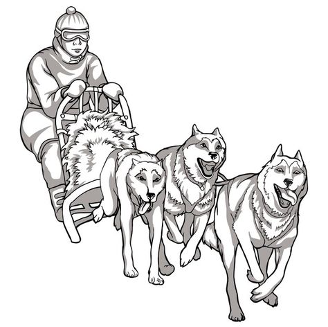 Sled dogs, animal helpers. linear drawin... | Premium Vector #Freepik #vector #alaska #winter-travel #arctic #arctic-animals Ride Drawing, Alaska Dog, Alaska Winter, Alaska Art, Dog Sled, Crown Drawing, Sled Dogs, Sled Dog, Wolf Illustration