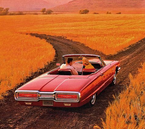 Car Couples, Thunderbird Car, Thunderbird Convertible, Moving Tools, 1960s Cars, 1964 Ford, Ford Torino, Vintage Car Ads, Buick Riviera