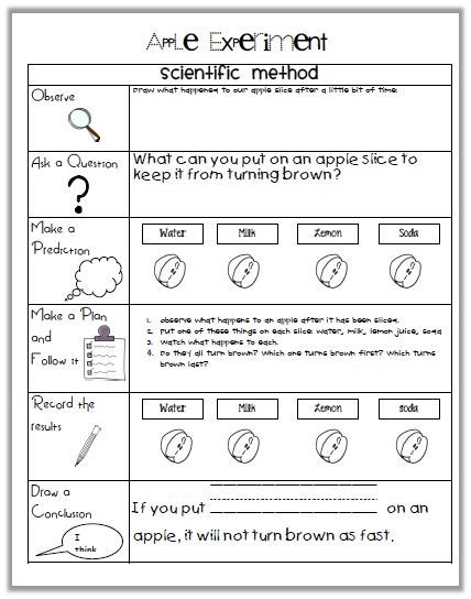 Nice template for the scientific method Apple Experiment, September Apples, Apple Science Experiments, Scientific Method Worksheet, Pumpkins Ideas, Science Board, Second Grade Science, Fall Classroom, Apple Unit