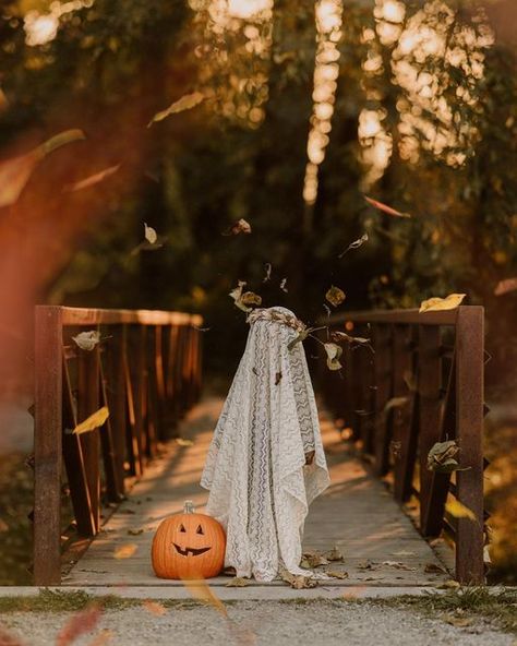 Halloween Pictures Family, Halloween Costume Mini Session, Toddler Ghost Photoshoot, Halloween Mini Session Studio, Halloween Mini Session Outdoor, Toddler Halloween Photoshoot, Kids Halloween Photoshoot, Halloween Baby Photos, Fall Photo Booth