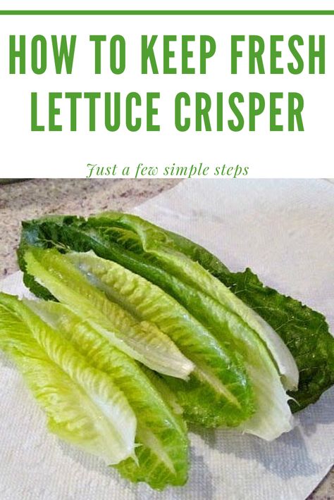 Keep Veggies Fresh Longer, How To Keep Lettuce Crisp, Keeping Romaine Lettuce Fresh, Storing Fresh Vegetables In Mason Jars, How To Keep Romaine Lettuce Fresh Longer, How To Preserve Lettuce In The Fridge, How To Make Lettuce Last Longer, Best Way To Store Lettuce, Keep Lettuce Fresh Longer How To Store