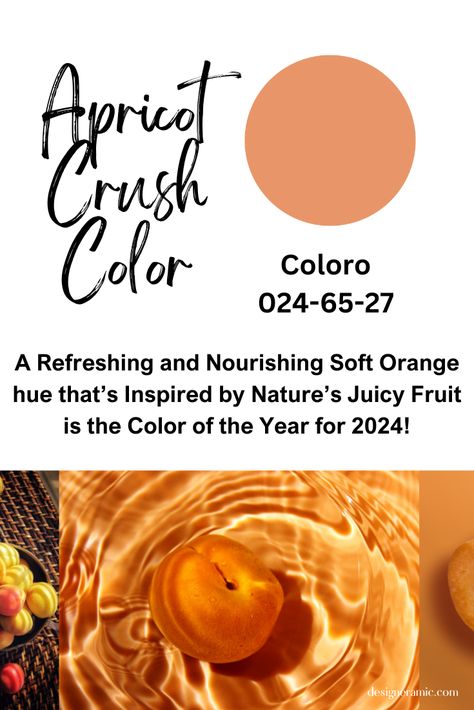 Coloro just released their color of the year for 2024. The color code ##e99460 corresponds to a specific shade of color in the hexadecimal color system. Know more about this trending hue : https://designeramic.com/apricot-crush/ Color Of Year 2024, Apricot Crush Outfit, Apricot Crush Pantone 2024, Apricot Crush Pantone, Apricot Color Outfit, Pantone Color Of The Year 2024, Apricot Color Aesthetic, 2024 Color Of The Year, Wgsn 2024