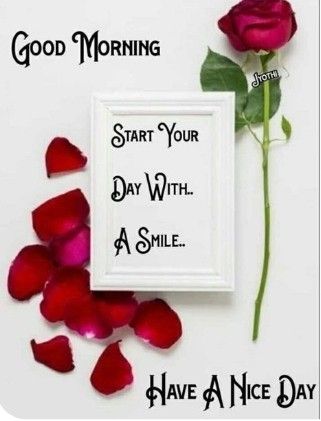 New Good Morning Images, Good Morning Rose Images, Good Morning Clips, New Good Morning, Love Pic, Call Me Now, Good Morning Greeting Cards, Good Morning Flowers Rose, Good Morning Coffee Images