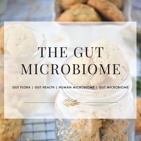 Micro Biome, Microbiome Diet, Longevity Recipes, Gut Healing Recipes, Gut Flora, Healthy Apple, Healthy Bites, Healthy Clean Eating, Gut Microbiome