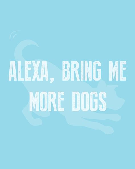 Alexa?? Did you get that? 🤔 Alexa Play Quotes, Cute Cat Quotes, Play Quotes, Pet Quotes, Dog Quotes Funny, Cat Quotes, Animal Quotes, Dog Quotes, Four Legged