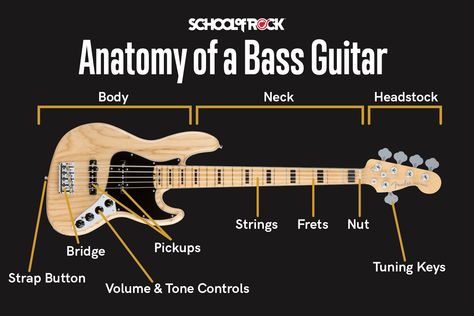 Bass For Beginners, Guitar Diagram, Bass Lessons, Bass Guitar Notes, Bass Tips, Bass Notes, Bass Guitar Chords, Music Space, Dean Guitars