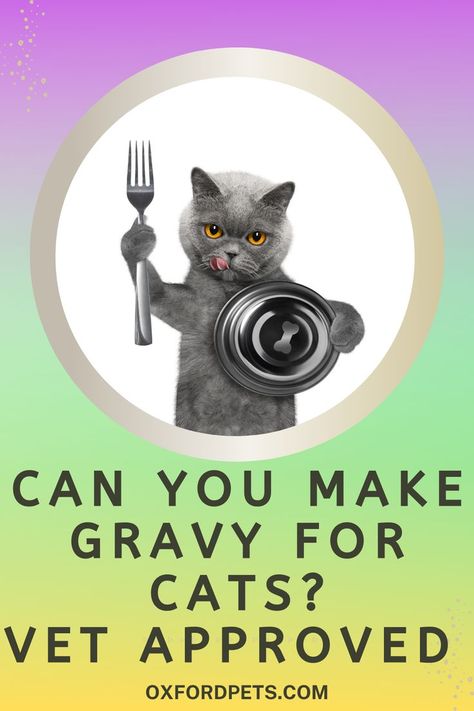 Can You Make Gravy for Cats? (Vet Approved Recipe Guide) Dog Gravy, Raw Cat Food Diet, Diy Cat Food, Healthy Cat Food, Pet Remedies, Homemade Cat Food, Cat Vet, Best Cat Food, Diy Cat Toys