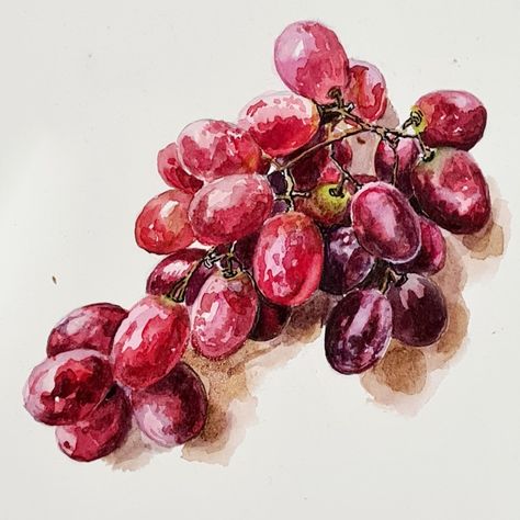 Grapes Watercolor Painting, Grape Watercolor, Grapes Drawing, Grapes Watercolor, Pomegranate Drawing, Wine Watercolor, Grape Drawing, Grape Painting, Watercolor Paintings Nature