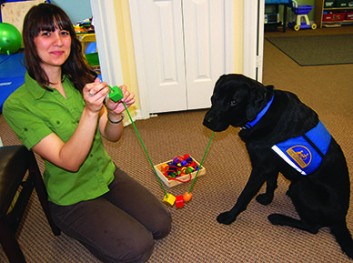 Dog Therapy Activities, Therapy Dogs In Schools, Animal Assisted Therapy Activities, Animal Therapy Activities, Therapy Dog, Therapy Dog Training, Disabled Children, Service Dogs Gear, Recreation Therapy