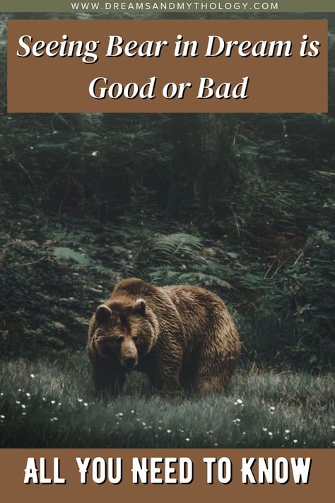 What would a bear stand for if it appears in your dream? Now dreaming about bears or seeing them in your dreams sounds very discomforting. Yet, there exist different scenarios and several different types of bears, all of them symbolizing different meanings. They may have both positive as well as negative implications. #BearDreamMeaning #DreamMeanings #SeeingBearinDreams Bear Symbolism, Bear Meaning, Bear Spirit Animal, Bear Spirit, Bear Attack, Spiritual Animal, Dream Symbols, Dream Meanings, Dream Interpretation