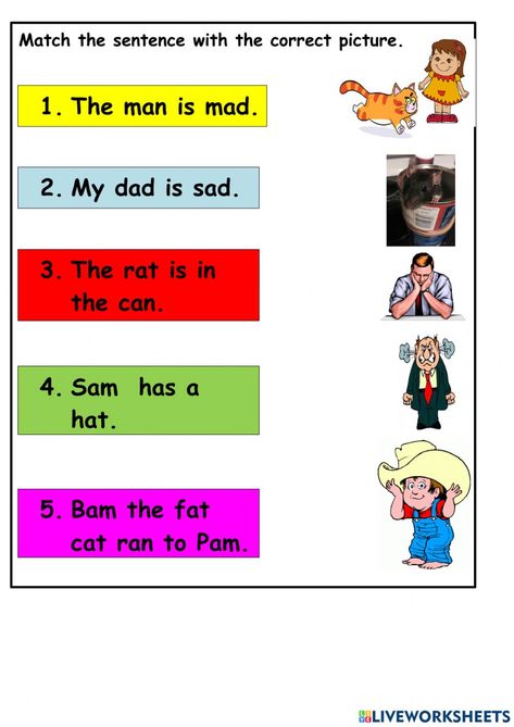 Sentence Worksheet, Cause And Effect Worksheets, Declarative Sentences, Phonics Learning, Esl Ideas, Phonics Worksheets Free, Preschool Activities Printable, Cvc Words Worksheets, Plant Activities