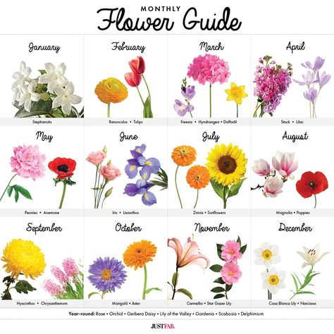 Monthly Flower Guide Flowers For May Wedding, Monthly Flowers, Flower List, Ant Tattoo, Wedding Flower Guide, Flower Chart, Birth Flower Tattoos, Flower Guide, Flower Meanings