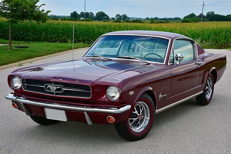 1965 Ford Mustang Fastback, I Want To Be Rich, Ford Mustang 1969, Mustang 1966, Ford Mustang 1967, Ford Mustang 1965, Red Mustang, 1965 Ford Mustang, Vintage Mustang