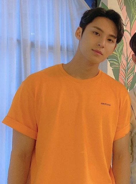 Mingyu Seventeen, Pledis 17, Seventeen, Mens Graphic Tshirt, Orange, Mens Tshirts, Books